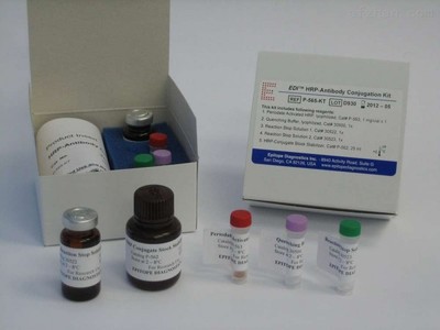R6840-00 Fungal RNA Kit真菌RNA小量提取试剂盒